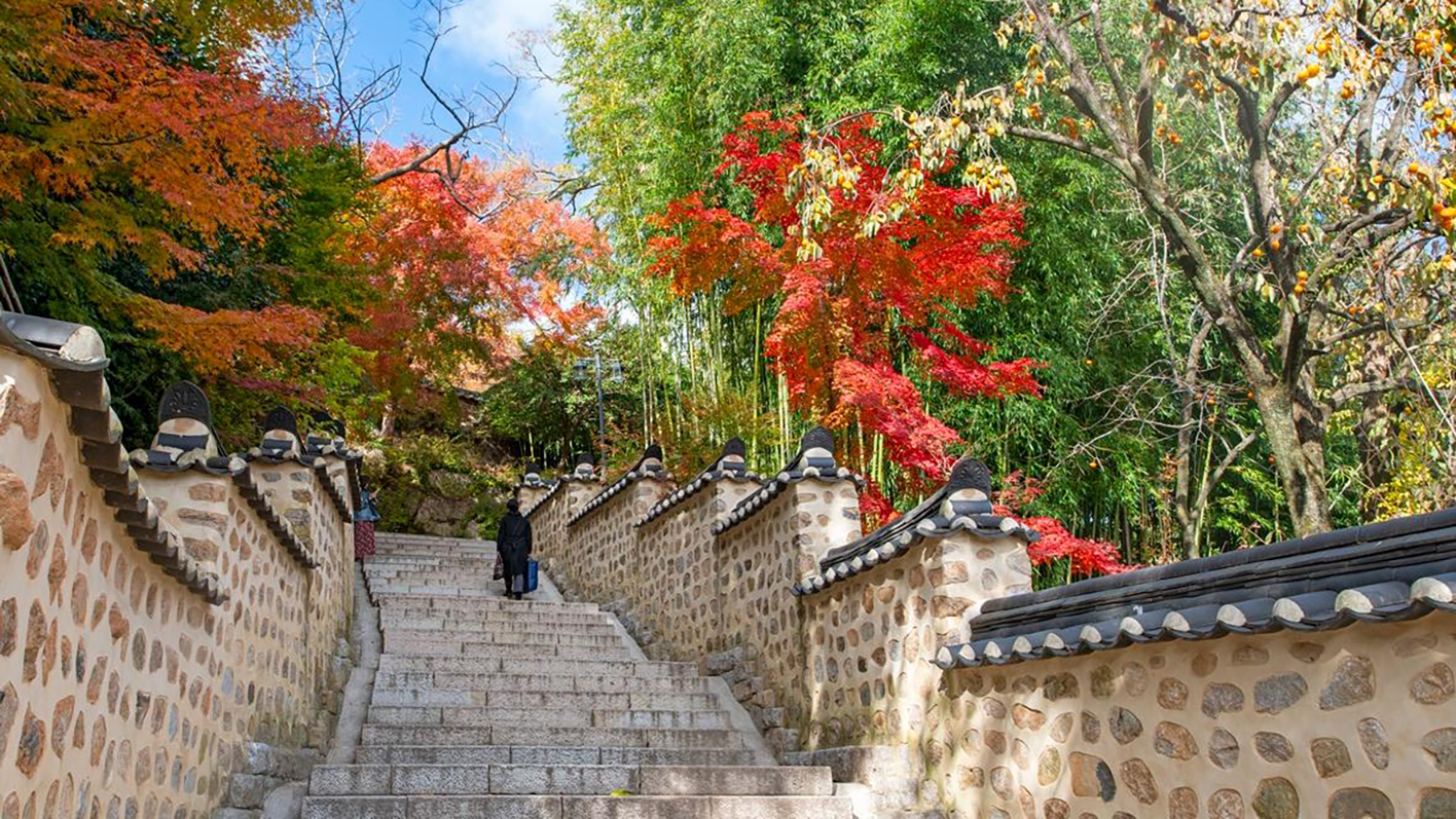 第 35 次例會 第二屆耀城家庭日 易斯達楓遊釜山